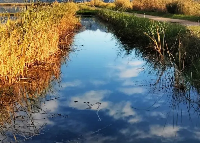 Апартаменты Atico Пего